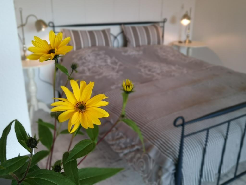 De Rolders Bed and Breakfast Wapenveld Eksteriør billede