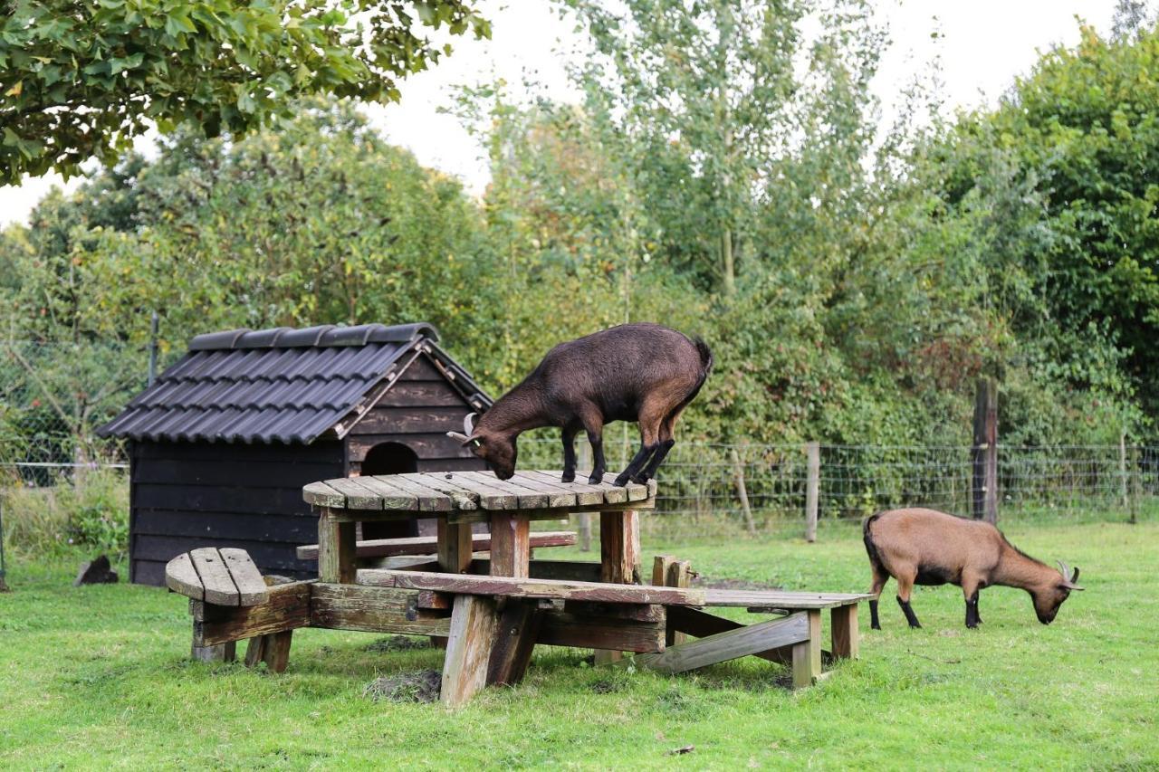 De Rolders Bed and Breakfast Wapenveld Eksteriør billede